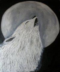 Xau Canis Lupus Animal Nacional da Galiza