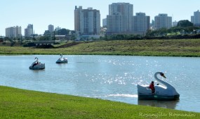 Indaiatuba Rosangila Romanin