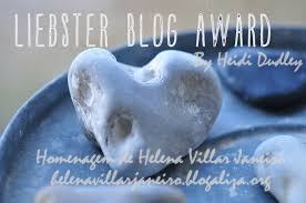 LIEBSTERBLOGAWARD MLD