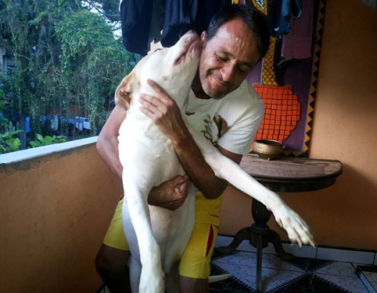 Completa-Recuperacion-Pitbull-Davi-Brasil