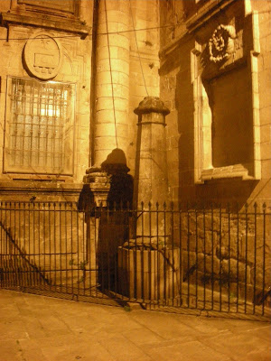 sc-sombra-do-peregrino-mais-grelos-dscn1232