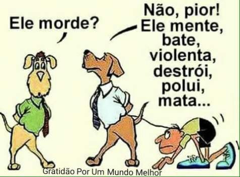 cao17103456_1752079925121148_2023092900647693786_n